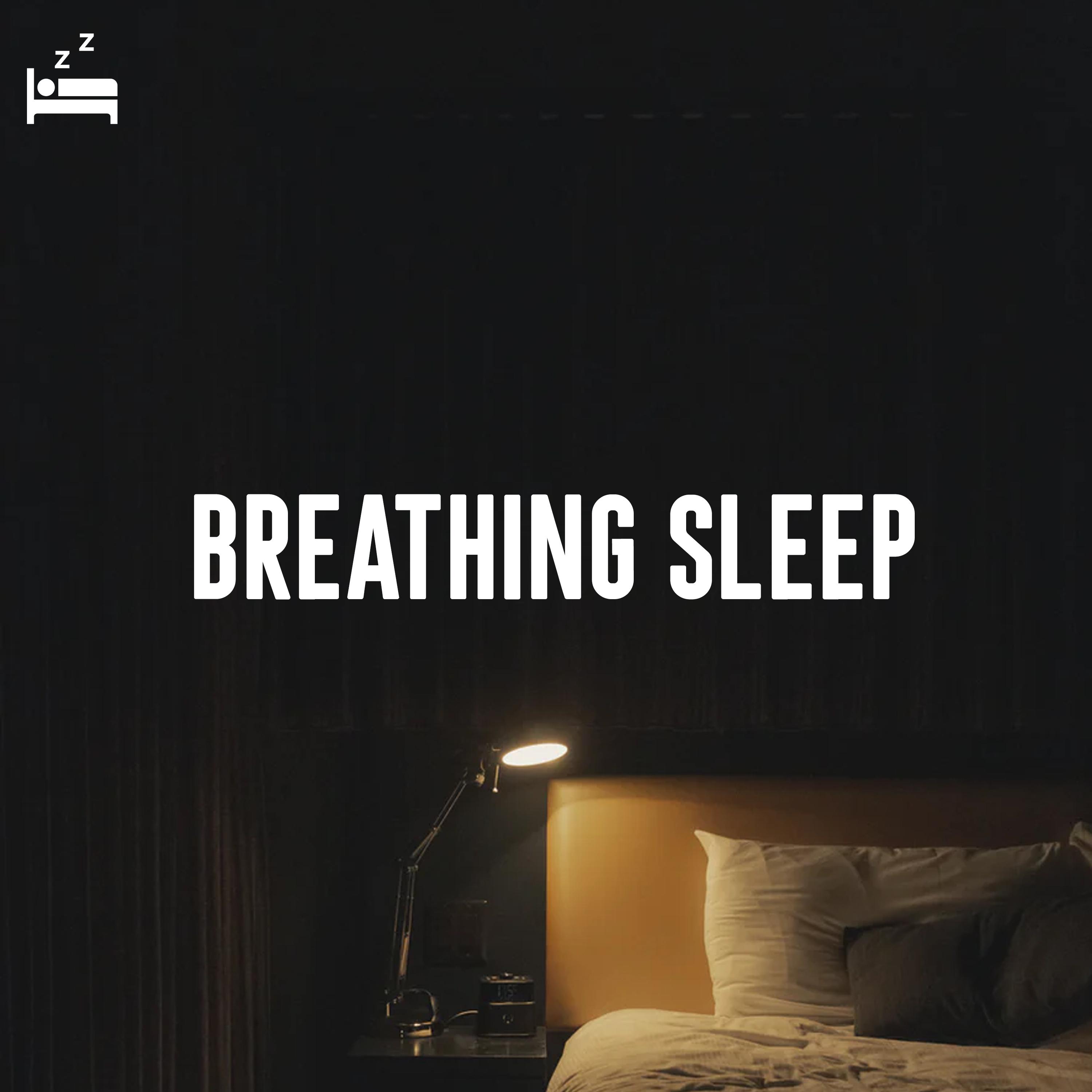 Spleep Musicgh Spoilers Cdl - kanbnrn