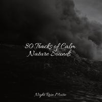 80 Tracks of Calm Nature Sounds