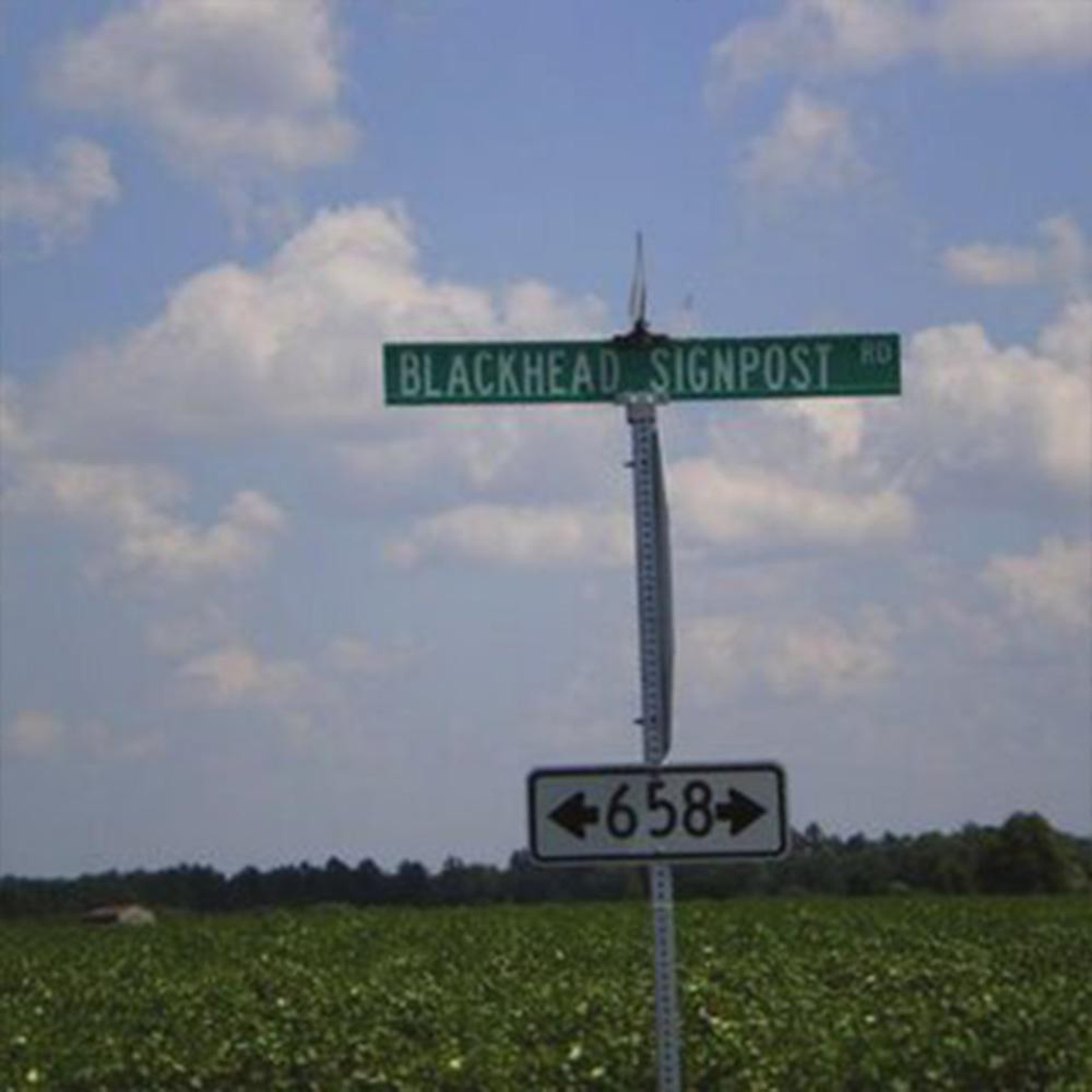 kill your masters (feat. prodleftfield)