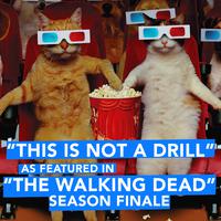 This Is Not a Drill (As Featured in 