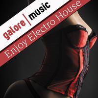 Enjoy Electro House