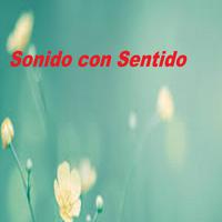 Sonido Con Sentido