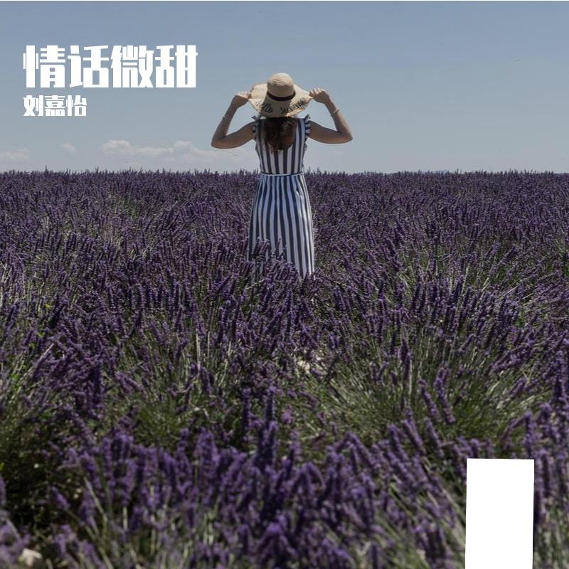 电话皇后(原唱 蔡依林)封面