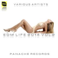 EDM Life 2014 Vol.2