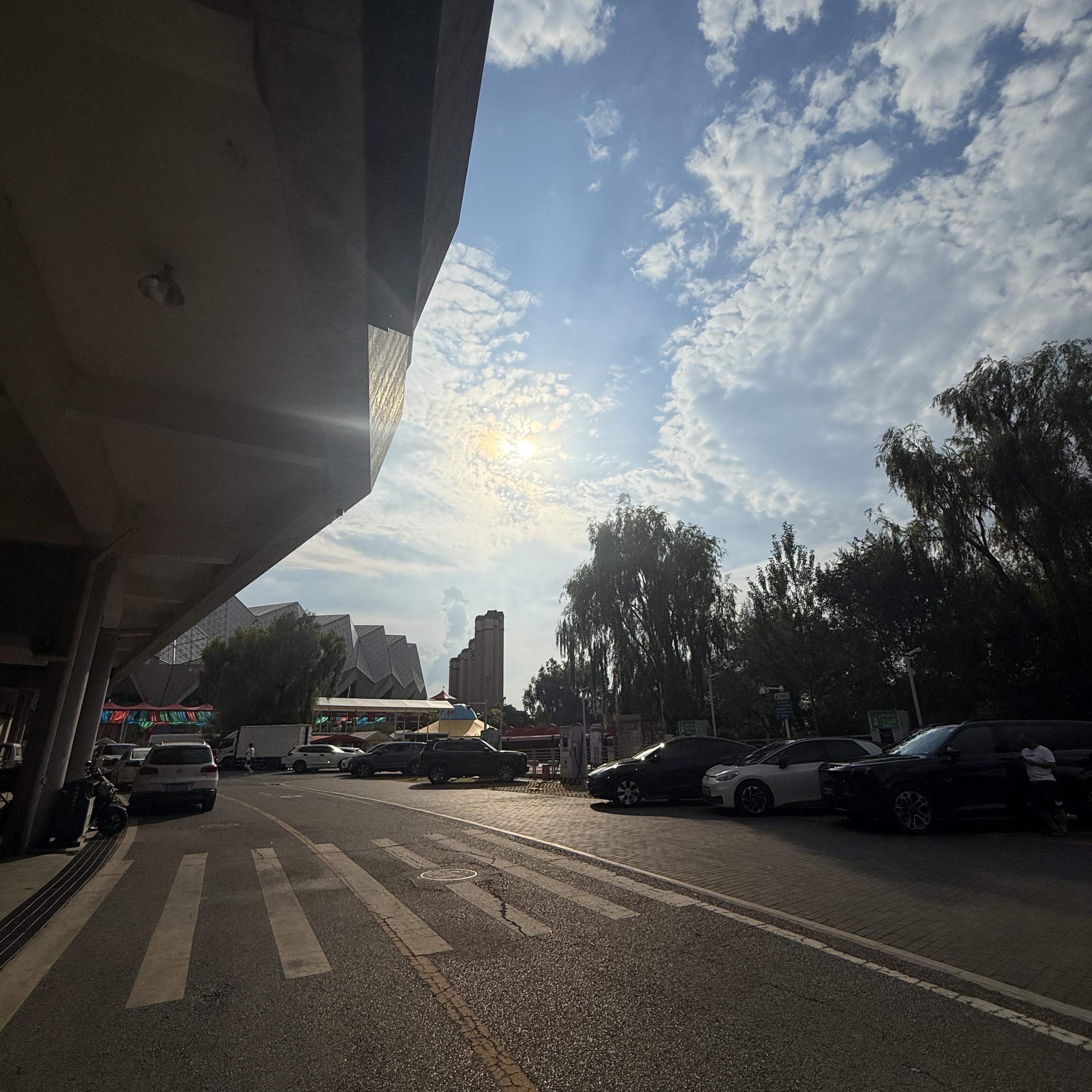 来不及爱你，春天已变成秋意封面