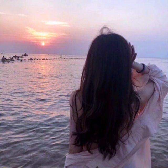 再生花封面