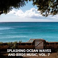 Splashing Ocean Waves and Birds Music, Vol. 7