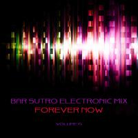 Bar Sutro Electronica Mix: Forever Now, Vol. 15