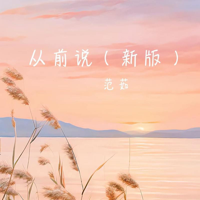 从前说(DJ版)封面