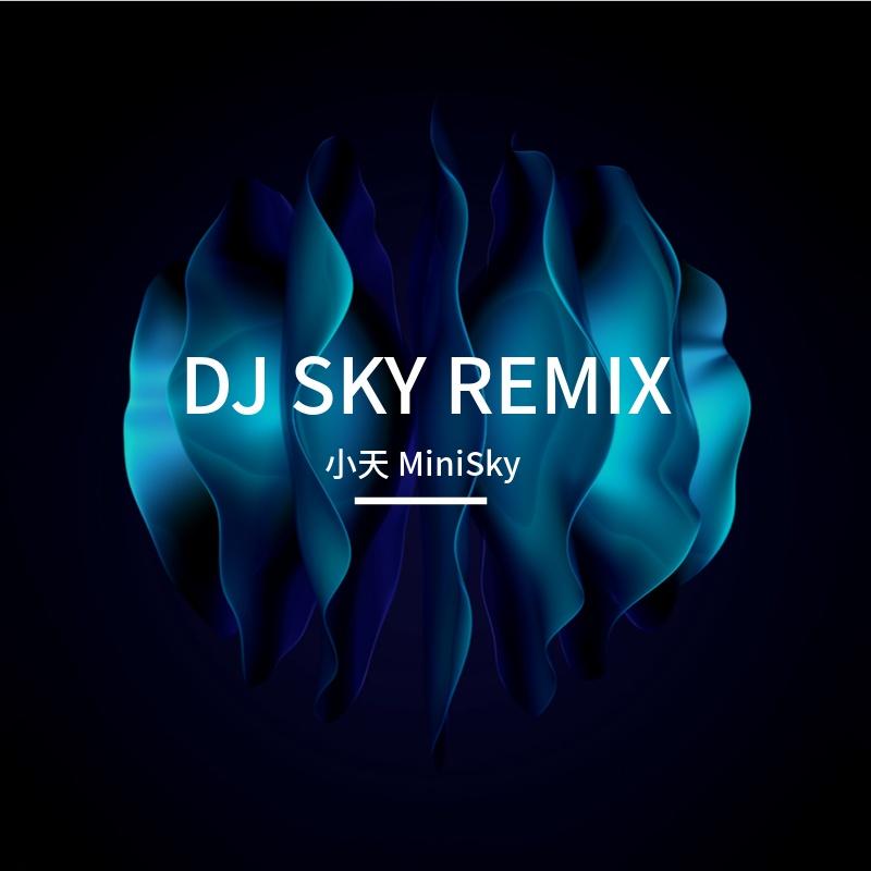 忍者（周杰伦） SKY Poppin Remix封面