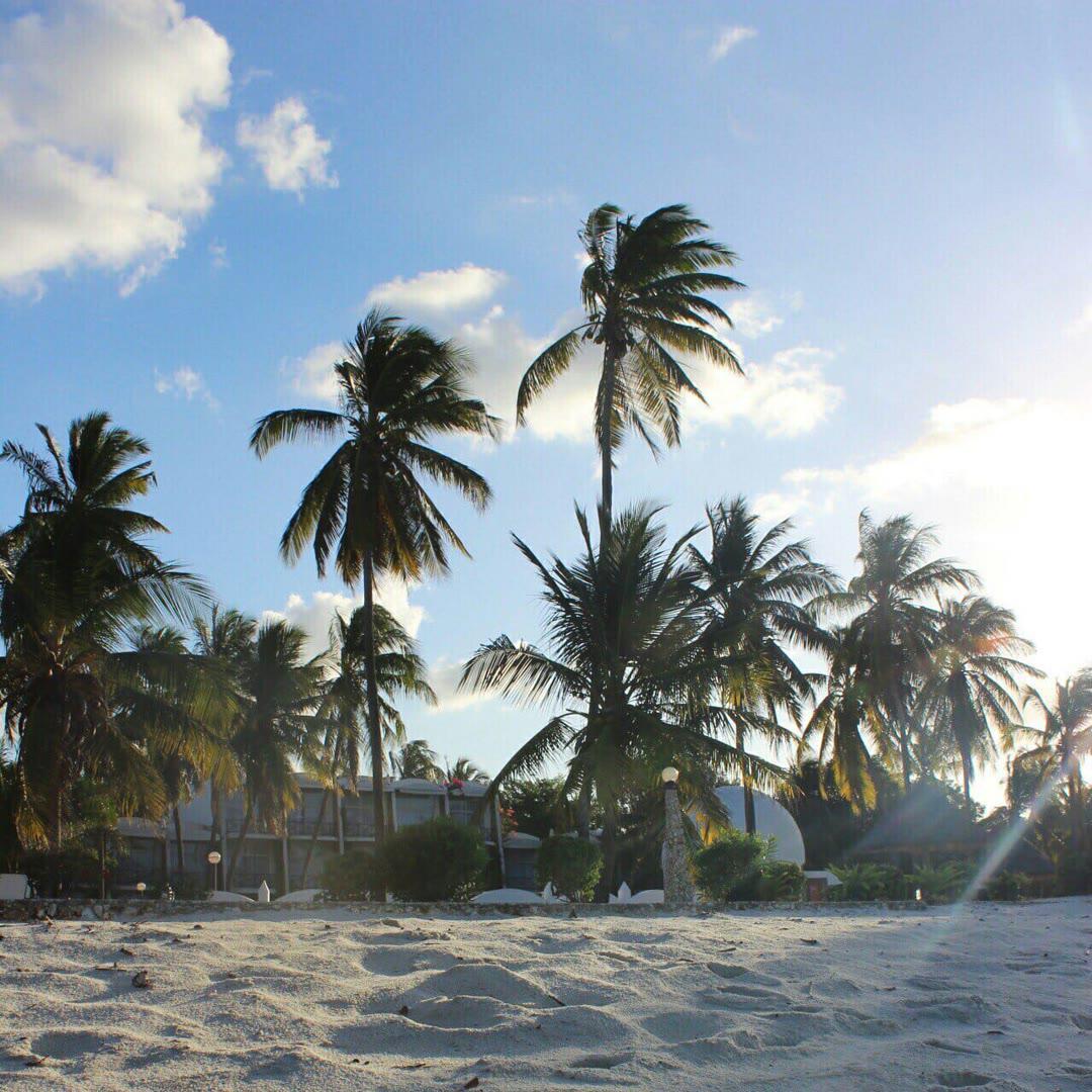 洪荒之力_李郑毅_电音旋律 EA7 | 在线播放_洪荒之力歌词_洪荒之力下载 | 网易云音乐