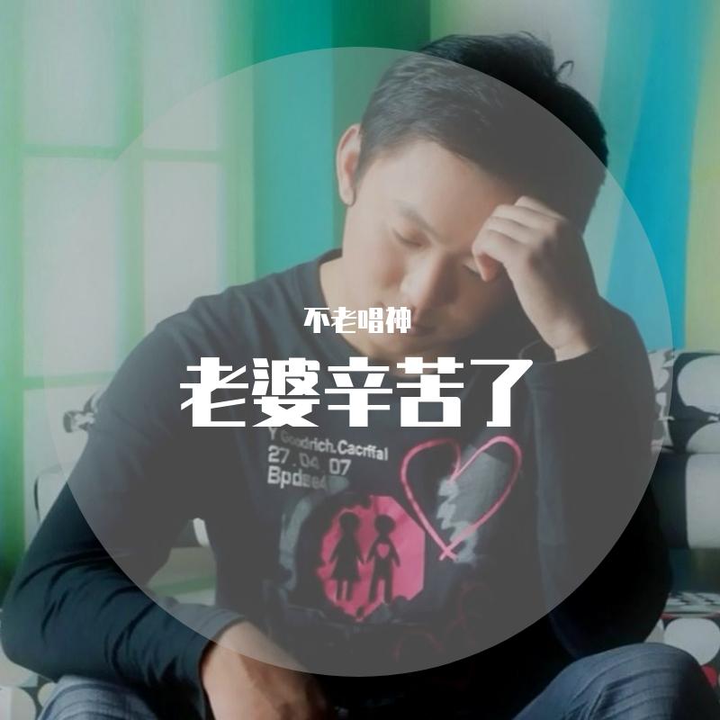 老婆辛苦了封面