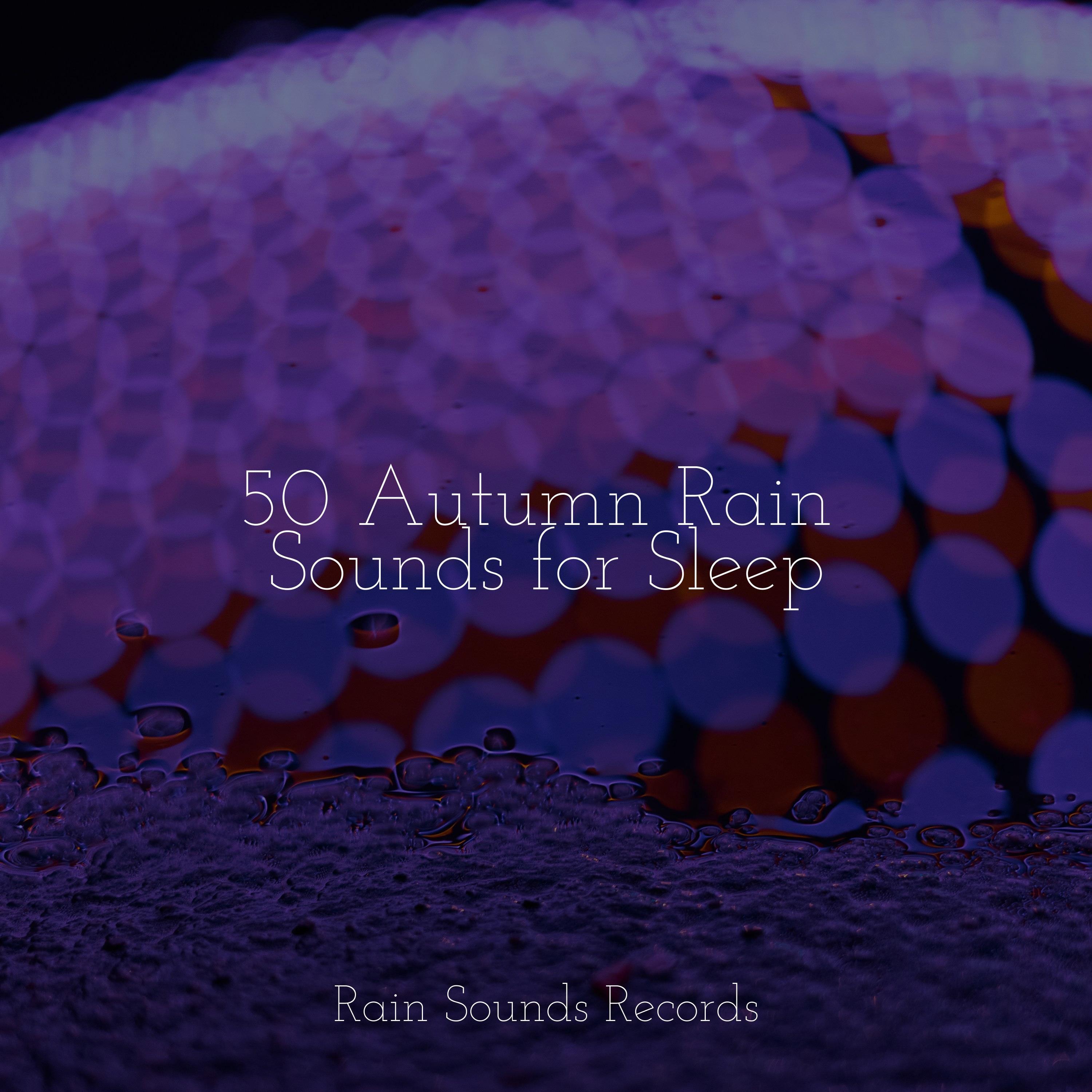 50 Autumn Rain Sounds for Sleep - Rain Sounds & White Noise - 专辑 - 网易云音乐