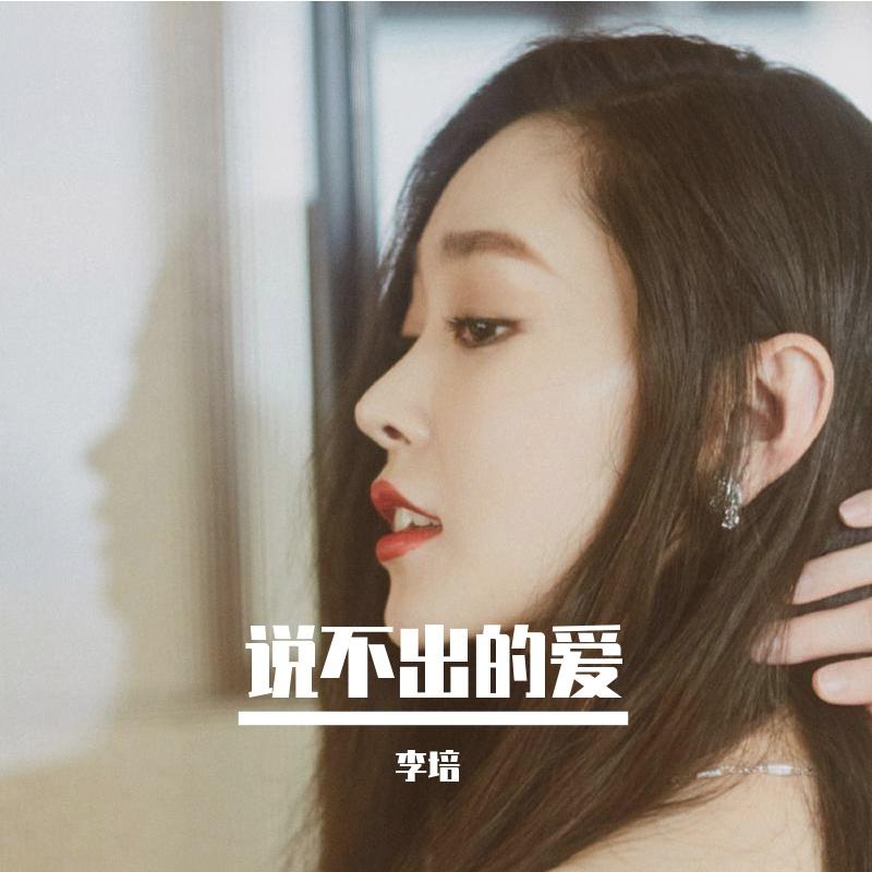 李培 - 说不出的爱封面