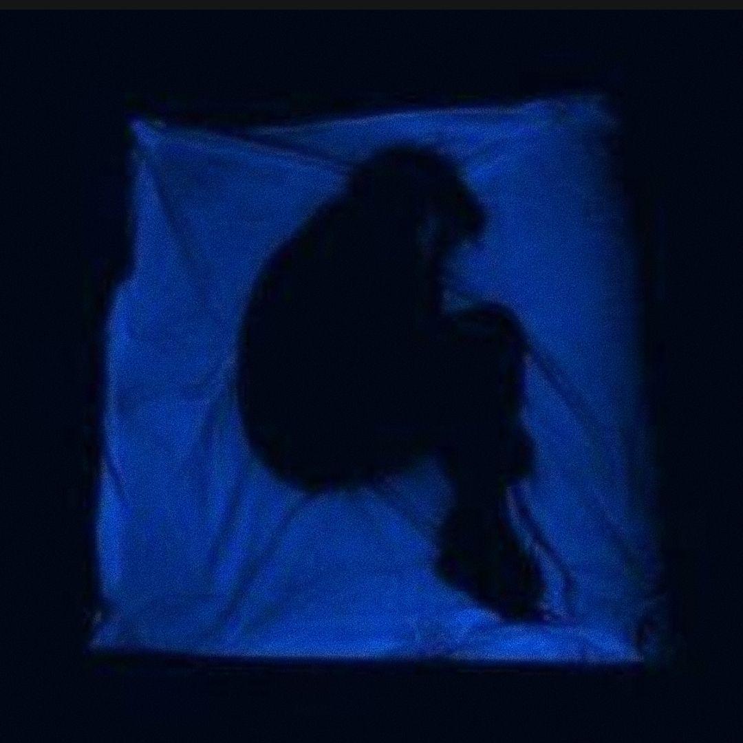 别在夜晚精神内耗...