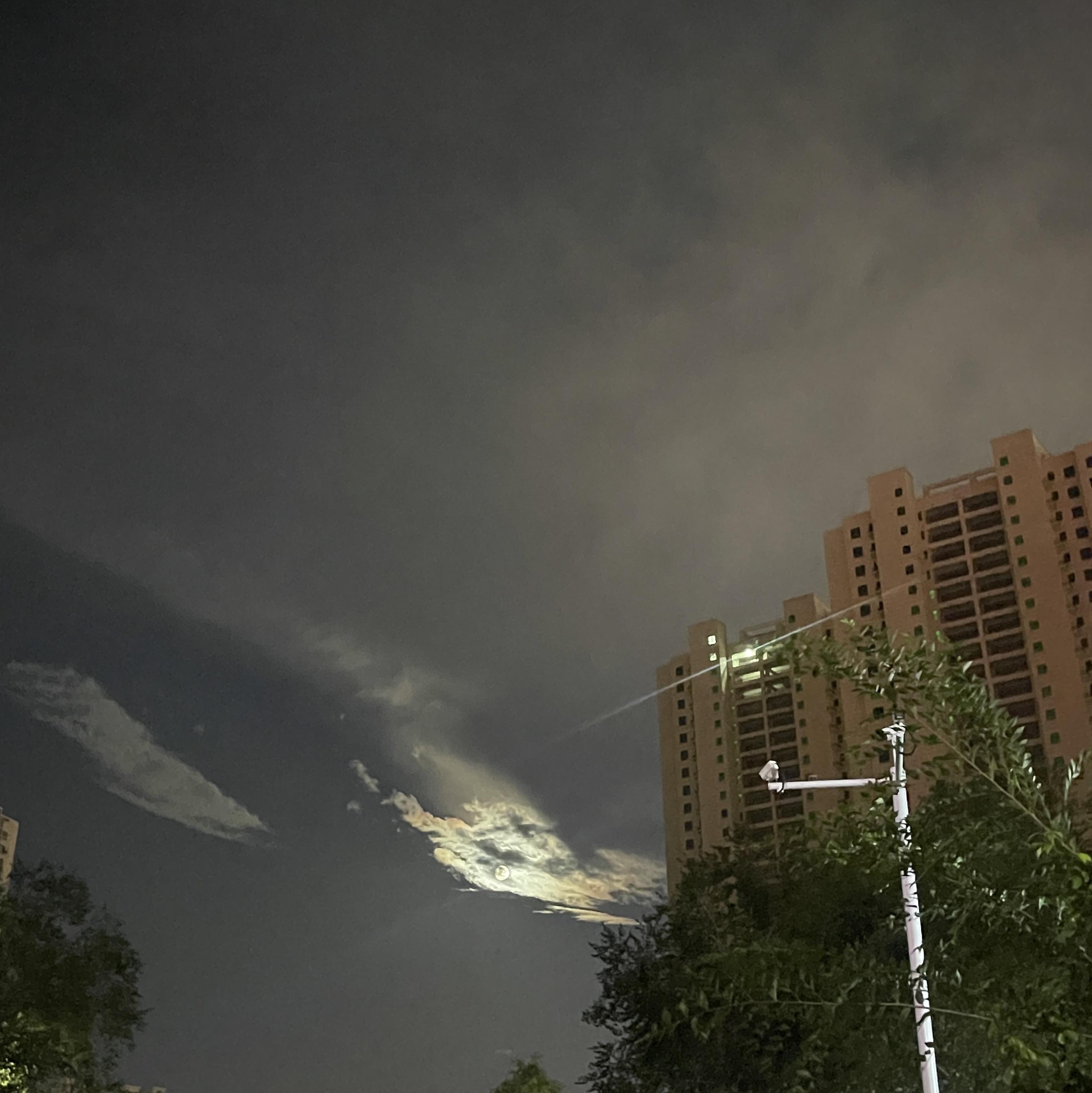 soYgu（翻自 Arpat1228）