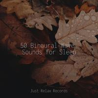 50 Binaural Wave Sounds for Sleep