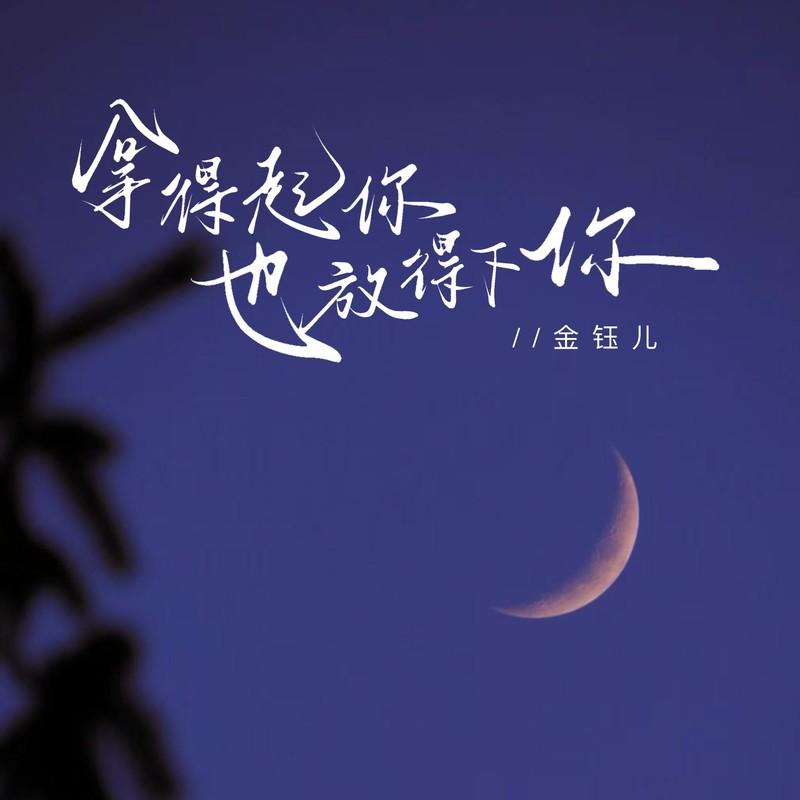 拿得起你也放得下你(DJ版)封面