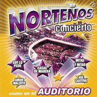 Norteños en Concierto