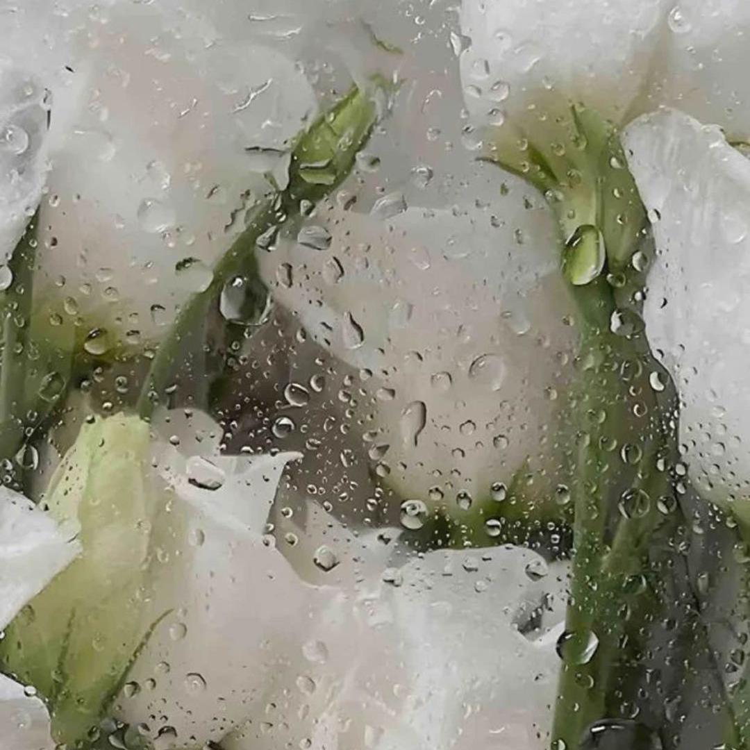 Pure Imagination - Rook1e (0.8 Remix)