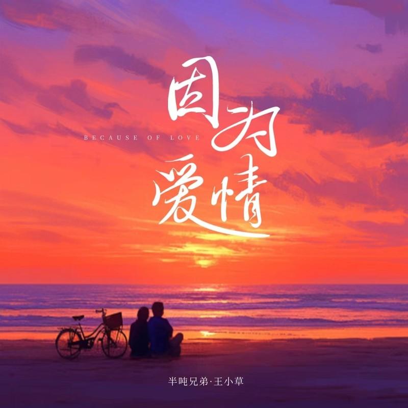 因为爱情 (DJ豪大大版)封面
