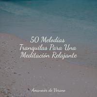 50 Melodías Tranquilas Para Una Meditación Relajante