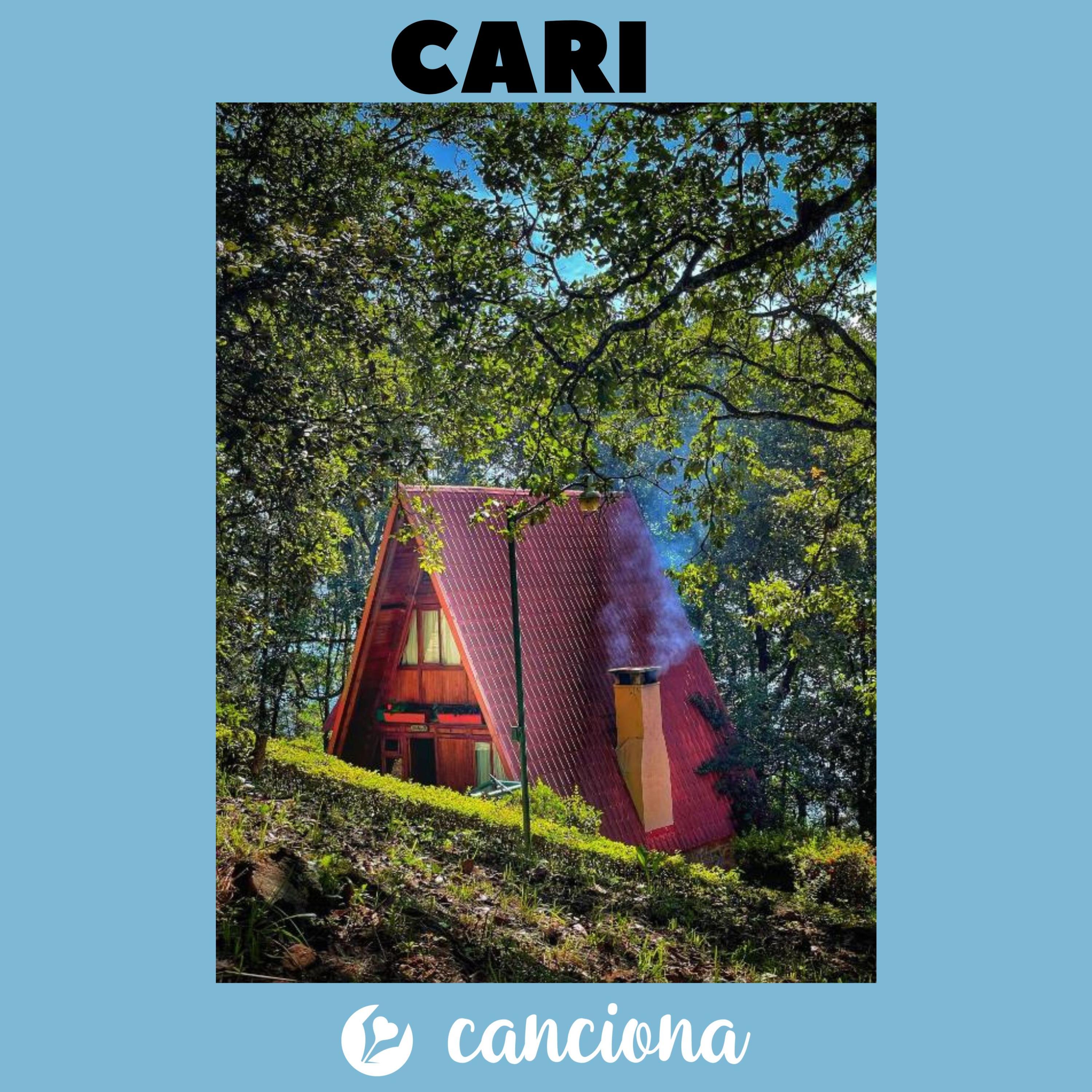 CARI