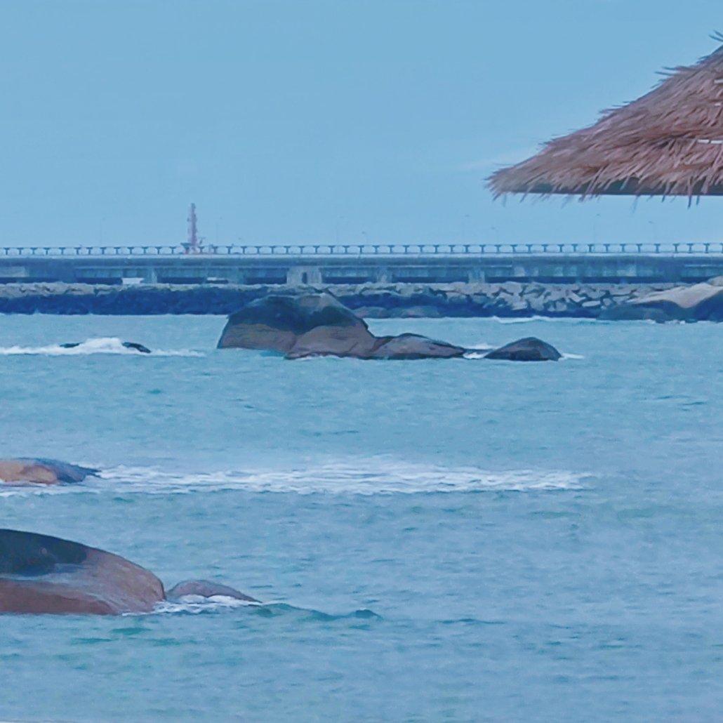 逐浪谣封面