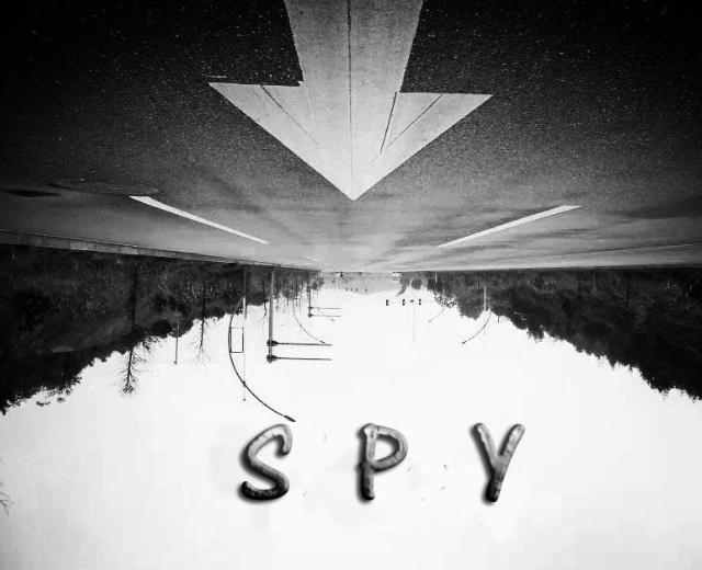 SPY组合吴梓萱
