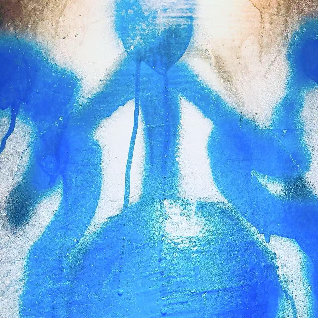 月球上的人封面