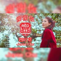 谢谢你 RED SCHOOL (feat. RED People)