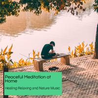 Peaceful Meditation At Home - Healing Relaxing And Nature Music