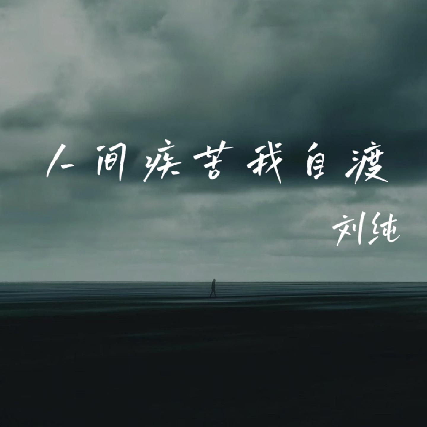 人间疾苦我自渡封面