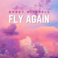 Fly Again