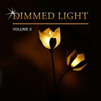 Dimmed Light, Vol. 5