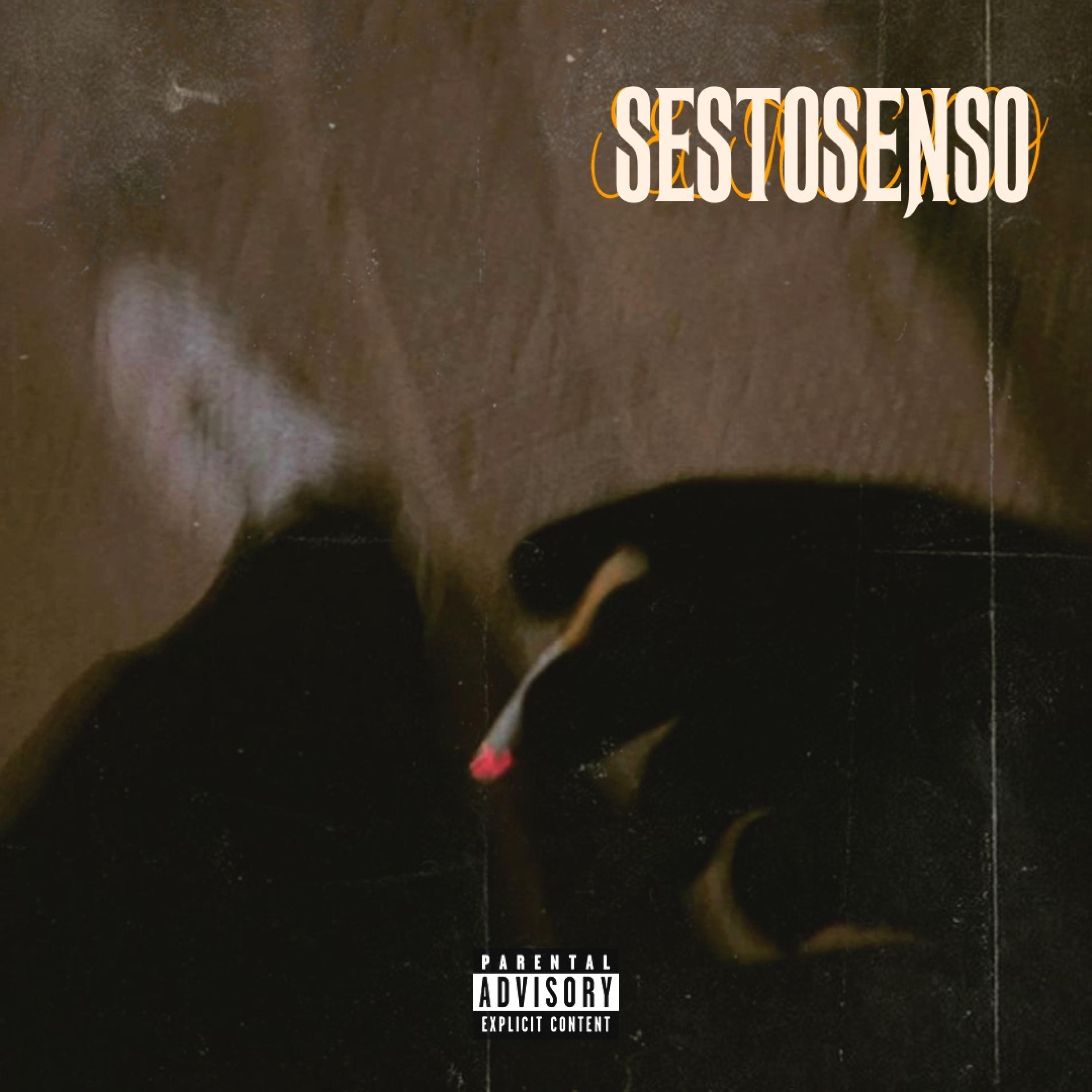 sesto senso歌手：setra发行时间：2023-06-02播放收藏分享下载评论