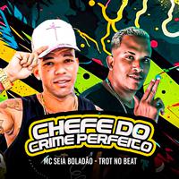 Chefe do Crime Perfeito