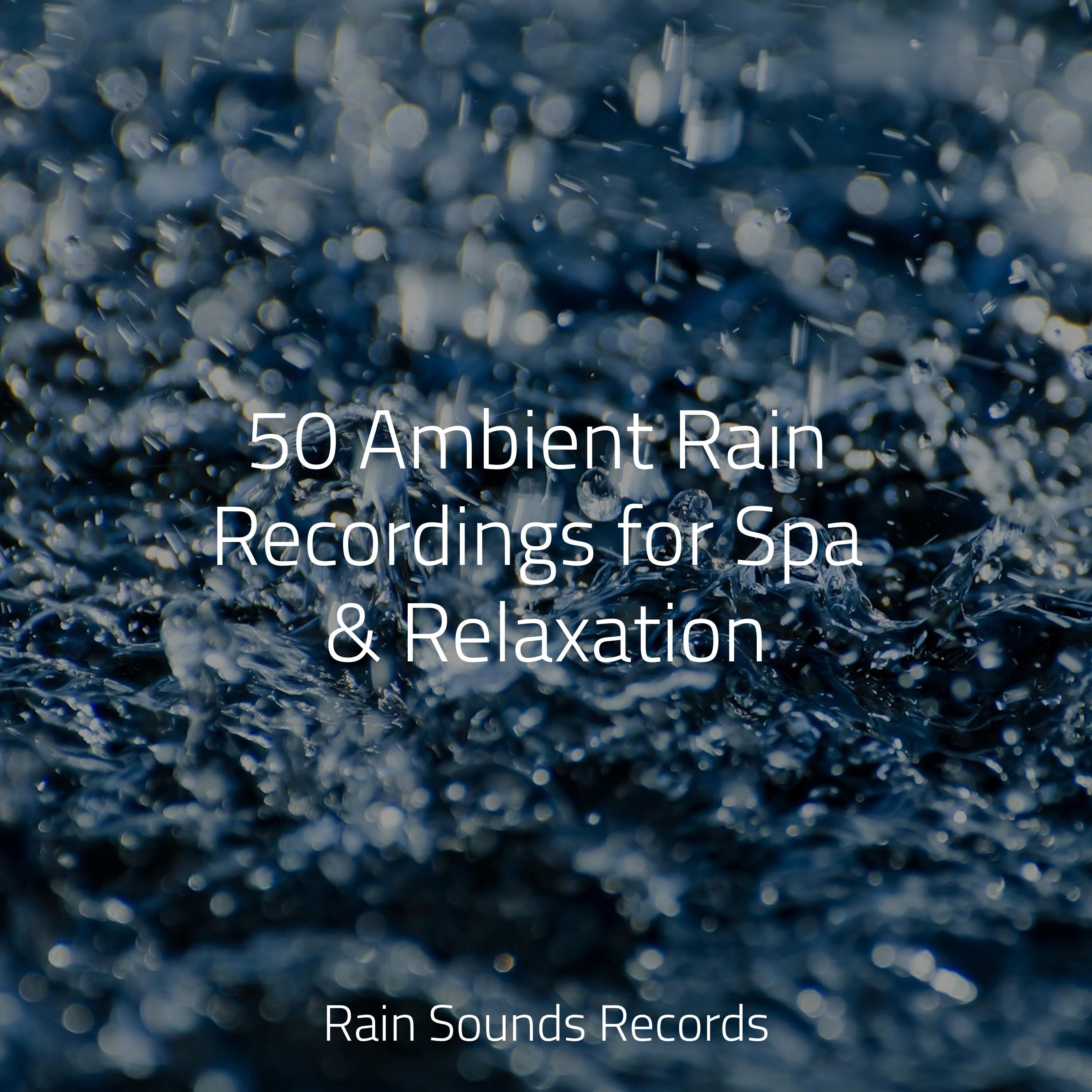 Distant Beach, Seagulls, Breeze Reiki Music/Lightning/Thunder and