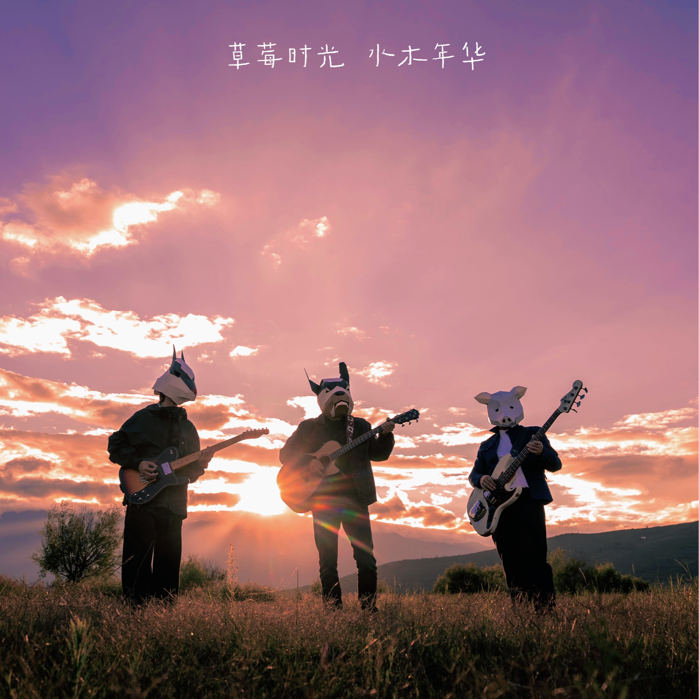 草莓时光 (伴奏)封面