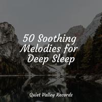 50 Soothing Melodies for Deep Sleep For Dogs