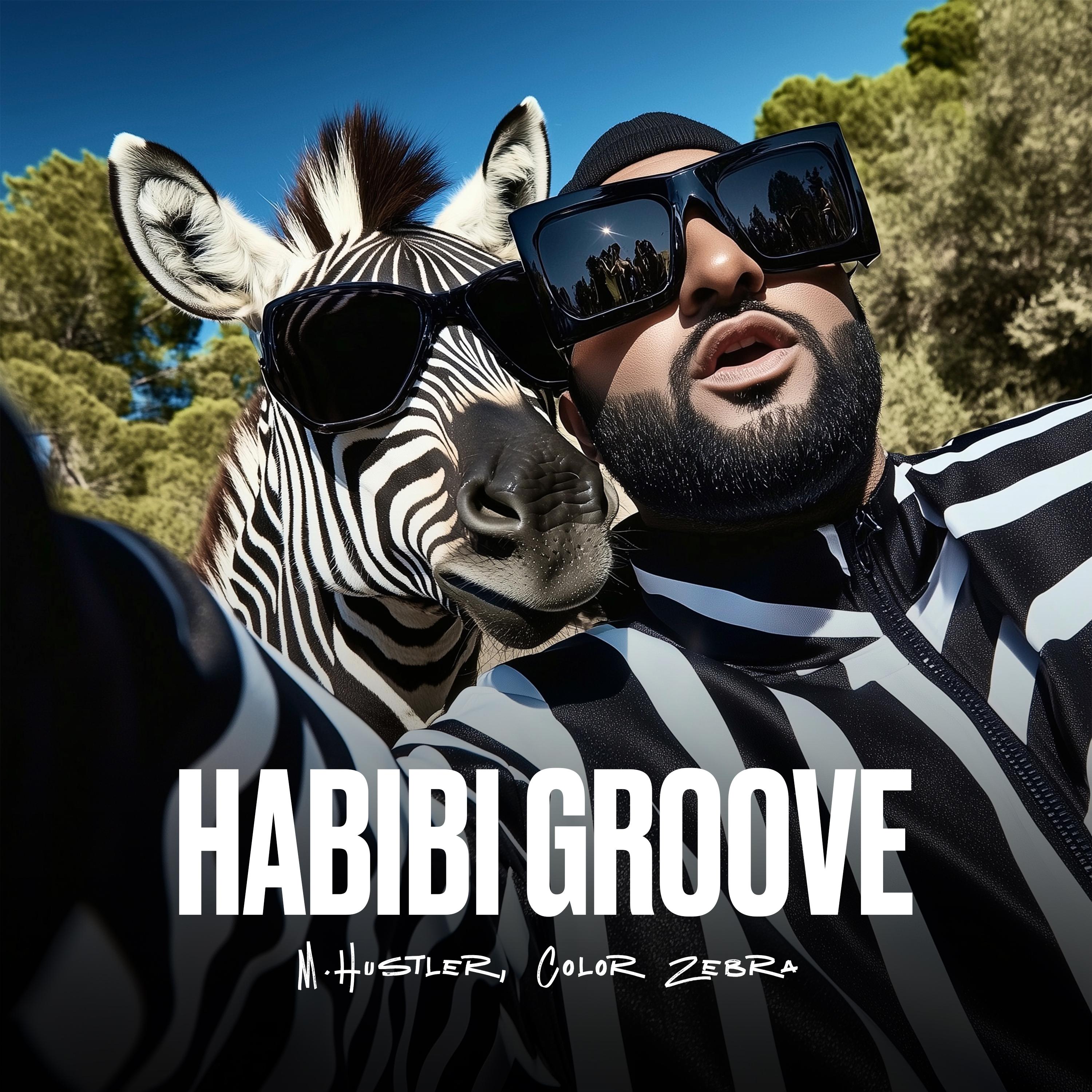 Habibi Groove - M.Hustler/Color Zebra - 单曲 - 网易云音乐