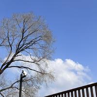 WikN资料,WikN最新歌曲,WikNMV视频,WikN音乐专辑,WikN好听的歌