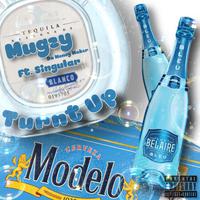 Turnt Up (feat. Singular)