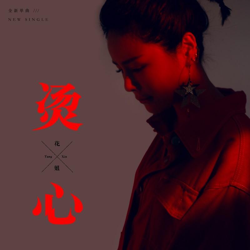 烫心 (DJ沈念版) - 花姐封面