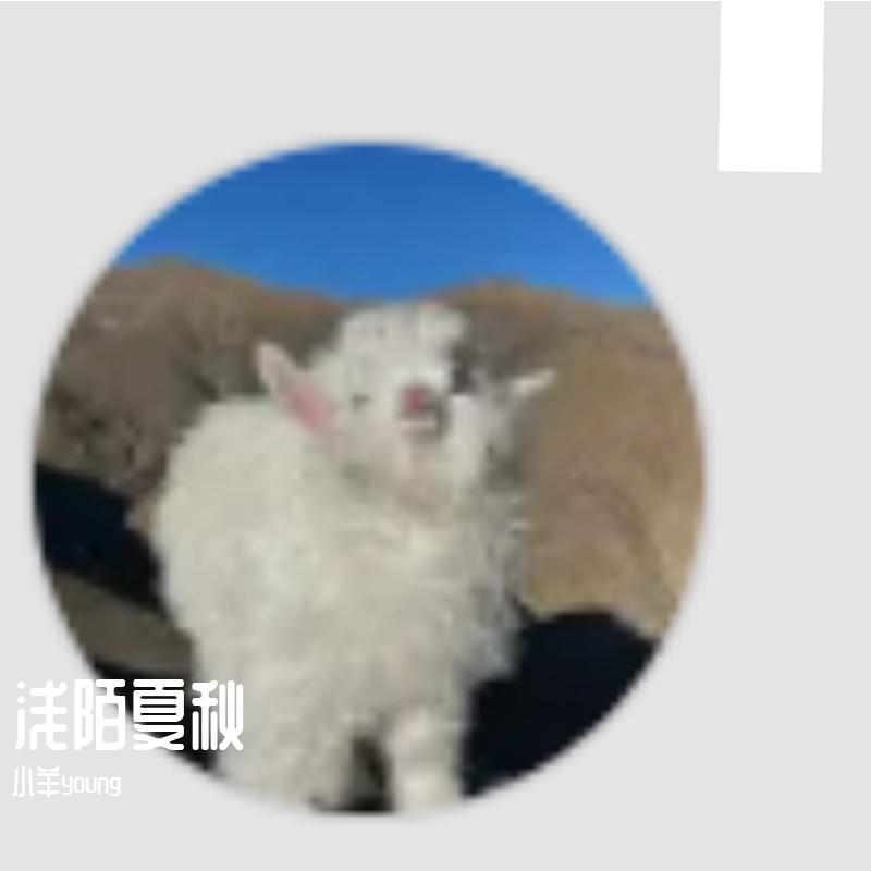 春边住 - 小羊young封面
