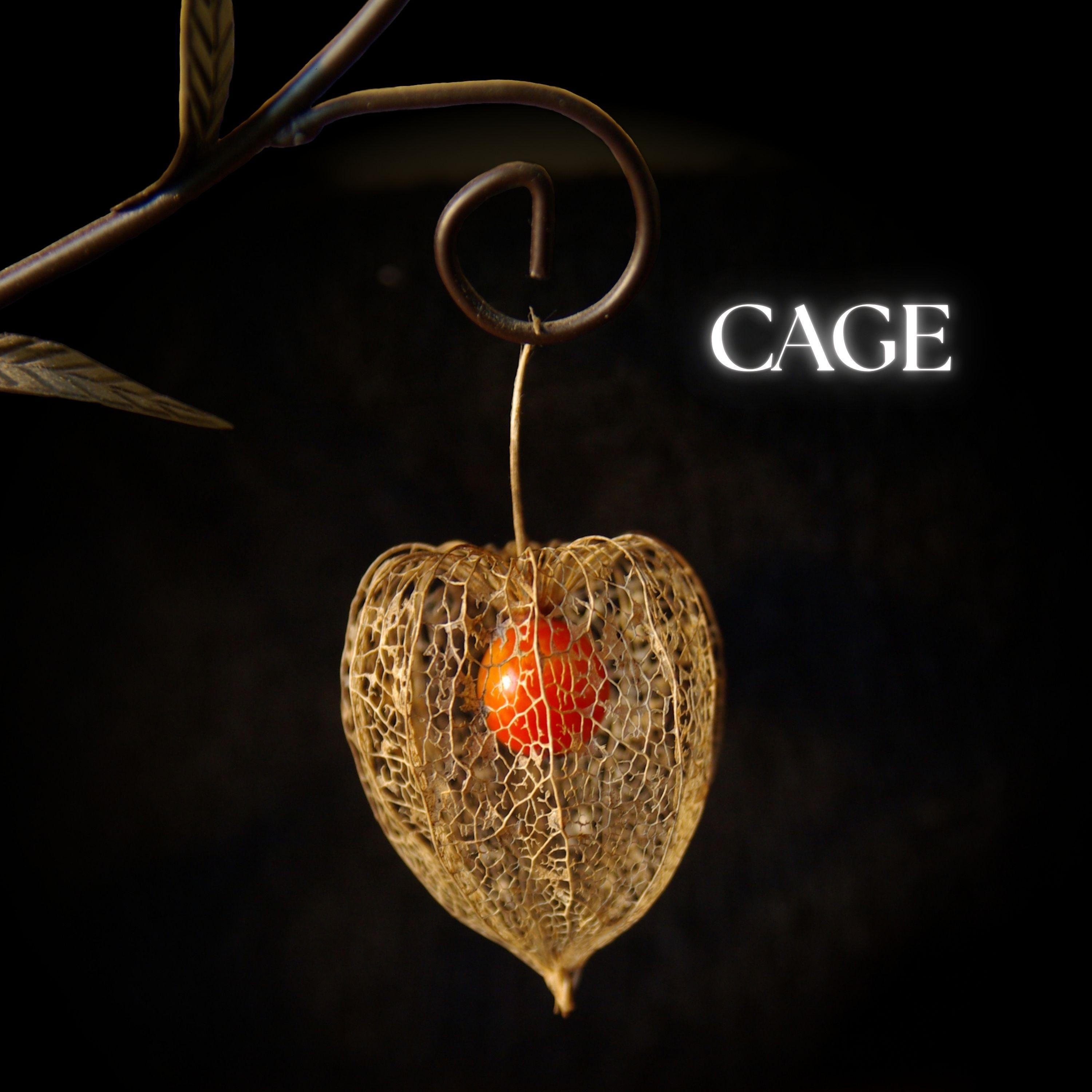 Cage