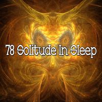 78 Solitude in Sleep