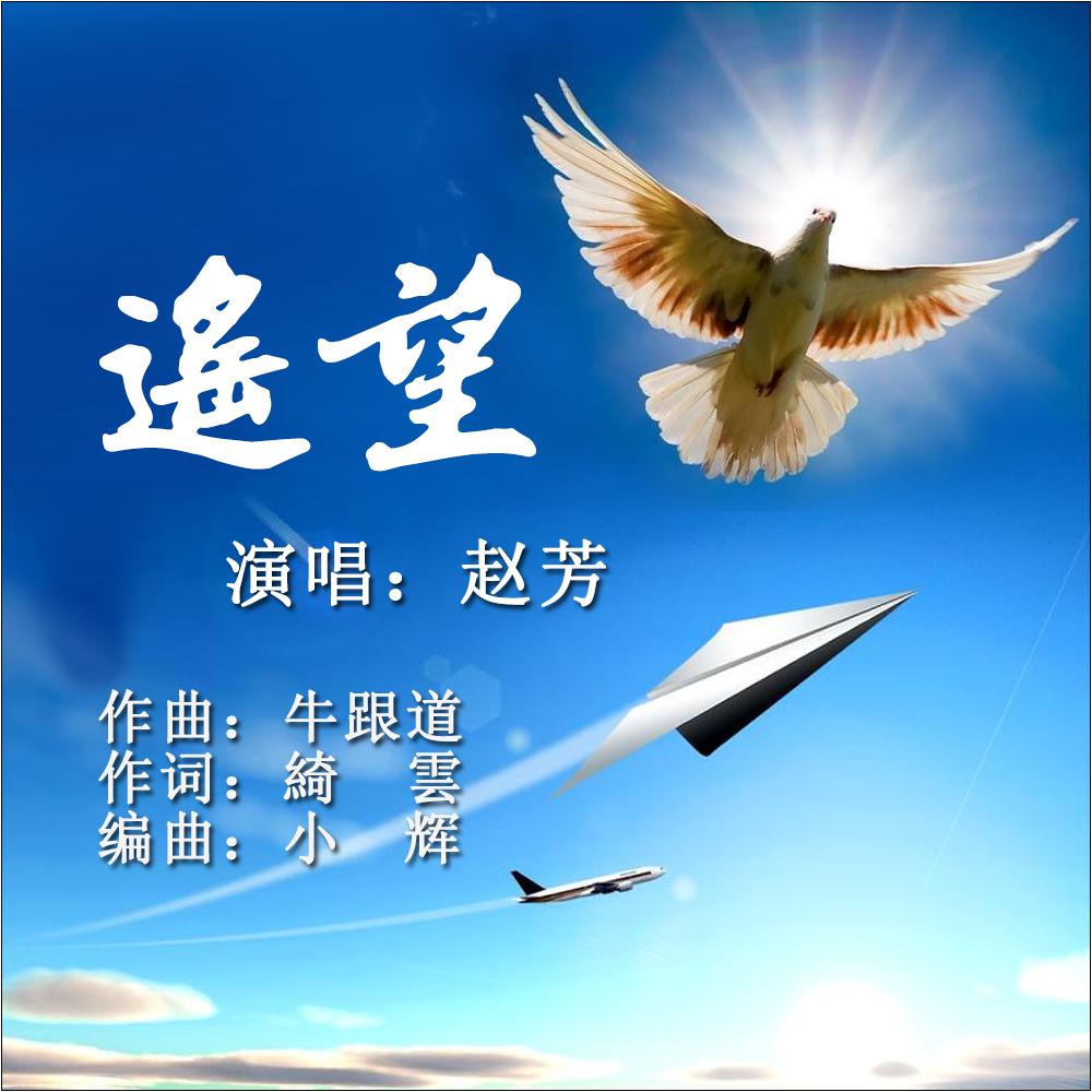 遥望 (伴奏)封面