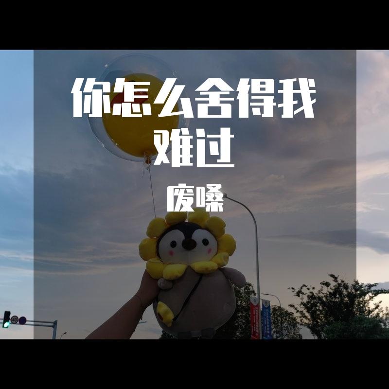 你怎么舍得我难过(烟嗓版)封面