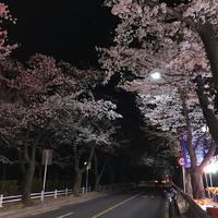 浪漫至死不渝